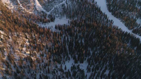 Birds eye aerial view above snowy alpine forest tilt up to Tre Cime sunlit majestic rocky mountain p