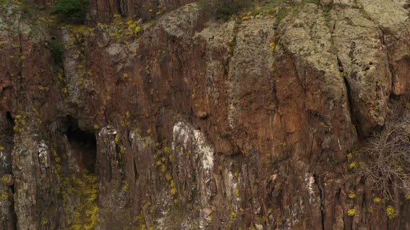 Habitat Of Griffon Vultures