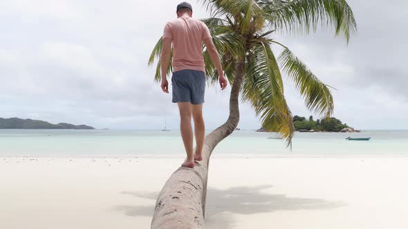 Man Resting On Palm Tree