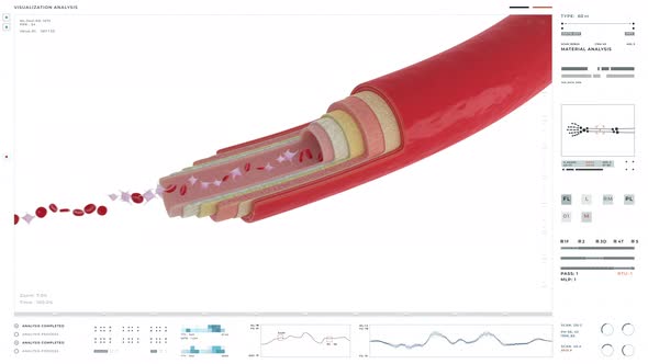 Innovative Anatomical Analysis Interface Inspects Blood Cells In Artery