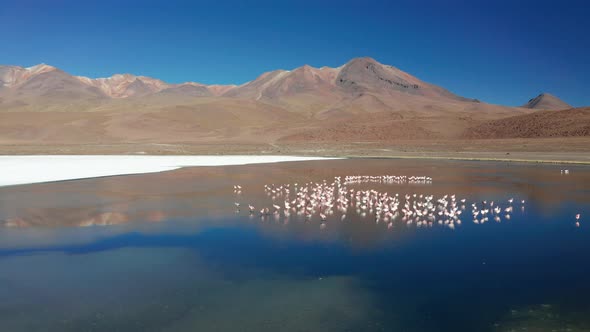 Sunrise View of Laguna De Canapa with Flamingo Bolivia Altiplano