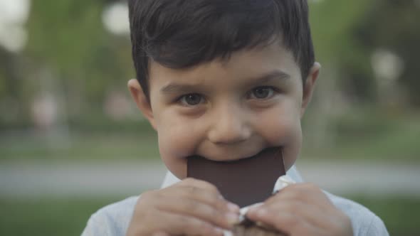 Closeup Portrait Cute Happy Little Boy Chewing Sweet Delicious Chocolate