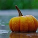 Halloween - VideoHive Item for Sale