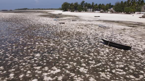 Ocean at Low Tide Near the Coast of Zanzibar Island Tanzania Slow Motion