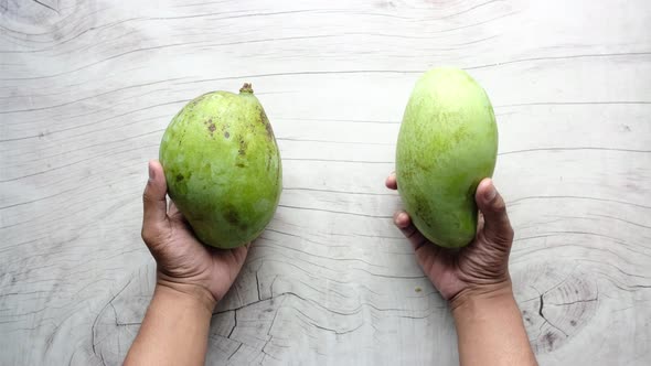 Holding Big Size Fresh Green Mango on Wooden Background Top Down