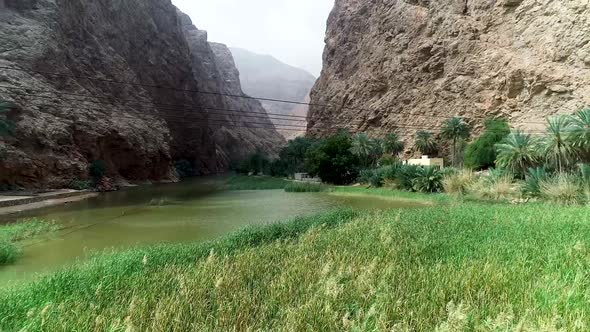 A Beautiful View Of The Picturesque Nature Between The Mountains Below Them Is A Tree Farm .