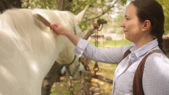 Beautiful Woman Combs the Mane and Tail of a Horse with a Wooden Comb