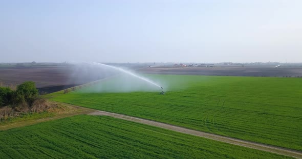 A Jet of Water is Sprayed on the Green Field