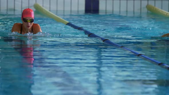 Swimmers training in a swimming pool