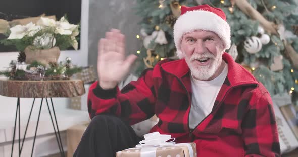 Portrait of Handsome Senior Caucasian Man Sitting at the Background of New Year Tree