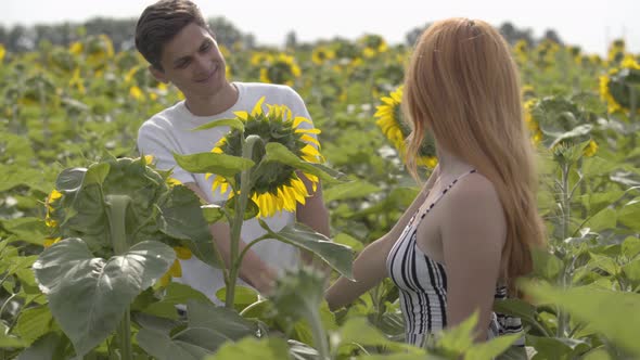 Beautiful Happy Couple Dancing Together on the Sunflower Field