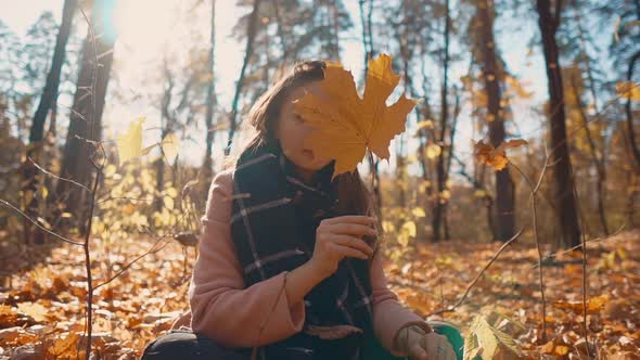 Lovely Girl in a Forest.