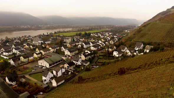 Small town and vineyards at river drone shot autumn colors.