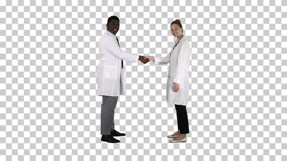 Doctors shaking hands and posing to camera, Alpha Channel