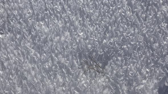 Rime Ice Crystals and Hoar Frost Covered on Untouched Ground