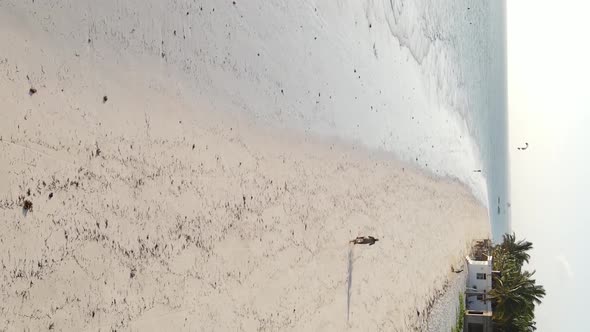 Vertical Video of a Coastal Landscape in Zanzibar Tanzania Aerial View