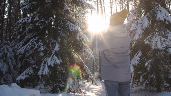 Young Woman Plays with the Rays of the Sun in a Winter Forest Woman Enjoying the Winter Time During