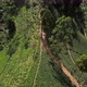 Tropical Landscape of Green Hills with Tea Plantations and Buildings - VideoHive Item for Sale
