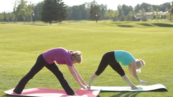 Senior Fit Women Practicing Yoga in the Park