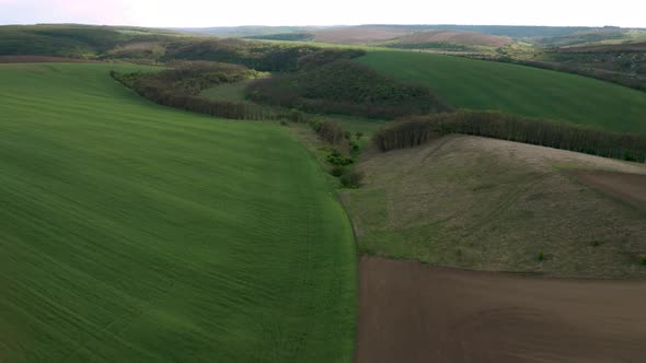 Aerial video over spring green fields before sunset