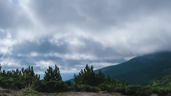 Timelapse of Moving Low Clouds in the Carpathian Mountains. Cumulus Dramatic Sky