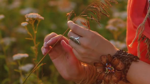 Girl Hand in a Flower Field at Sunset