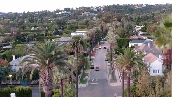 Aerial drone of palm tree lines street in Beverly Hills neighborhood in Los Angeles at daylight