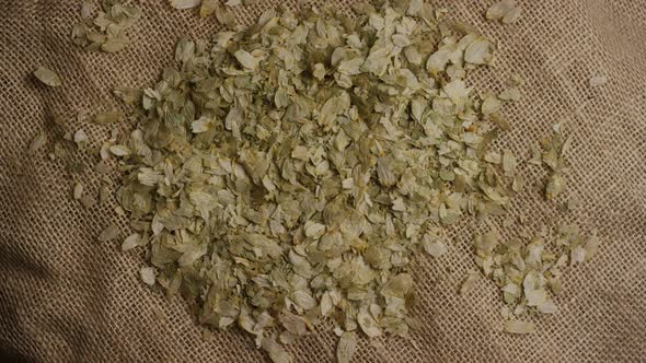 Rotating shot of barley and other beer brewing ingredients - BEER BREWING
