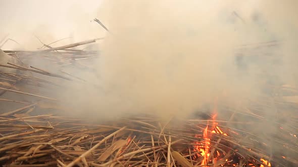 Stack of Dry Grass on Fire