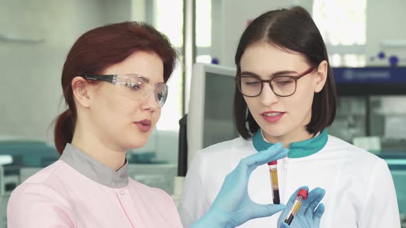 Two Healthcare Researchers Comparing Blood Samples in Test Tubes