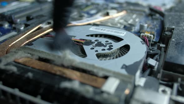 The Serviceman Cleans the Interior of the Laptop with Dust and Other Dirt