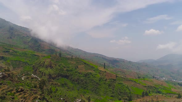 Tropical Landscape with Farmlands in Mountains alt