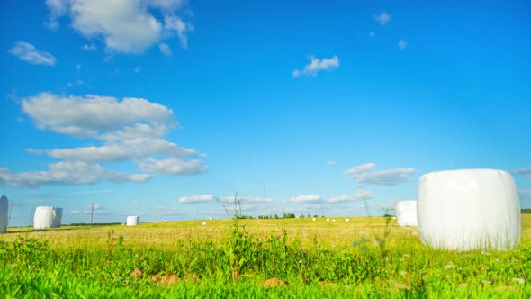 Rural Landscape and Hay