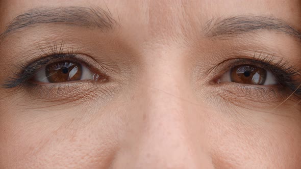 Brown Woman Eyes Close Up. Women's Eyes Are Brown, Slowly Closing and Opening. Perfect Female Eyes.