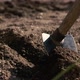 Gardening with kids - VideoHive Item for Sale