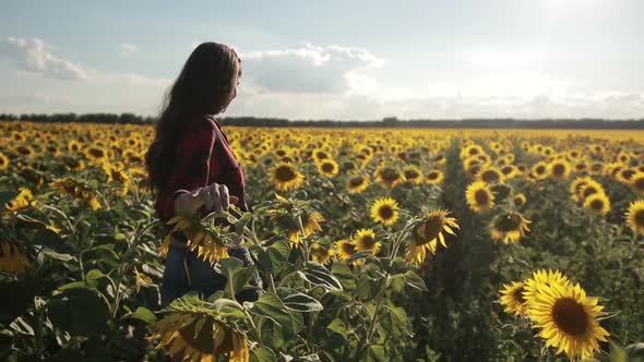 Young Woman Walking Away in Sunflower Field