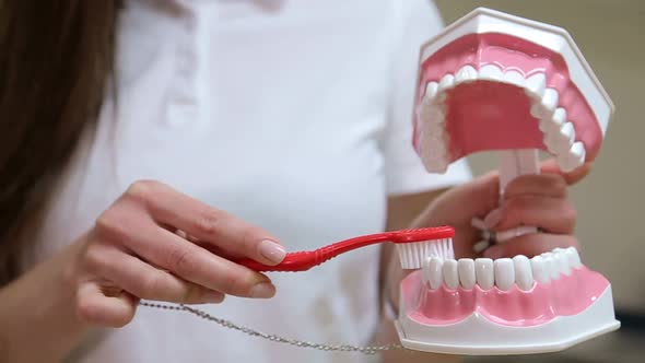 Tooth brushing, girl dentist, oral hygiene