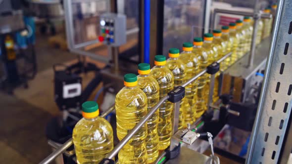 Production and bottling of sunflower oil.