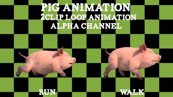 Pig 2Clip Alpha Loop alt
