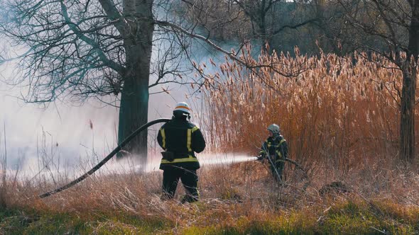 Two Firefighters in Equipment Extinguish Forest Fire with Fire Hose. Slow Motion