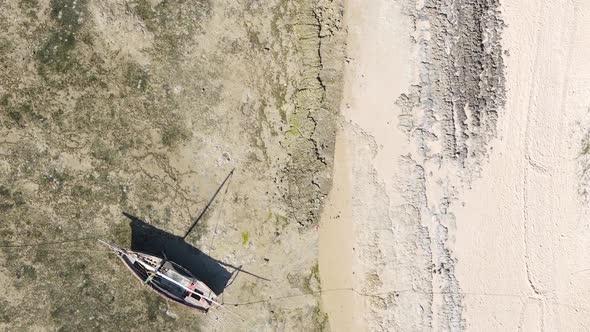 Zanzibar Tanzania  Vertical Video of Low Tide in the Ocean Near the Coast Slow Motion