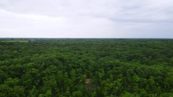 Columbia, Missouri Lush Green Trees in Dense Foliage Forest - Aerial with Copy Space in Sky