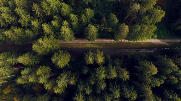 Smooth drone dolly flight over a green forest with a framed country road, idyllic landscape 4k foota