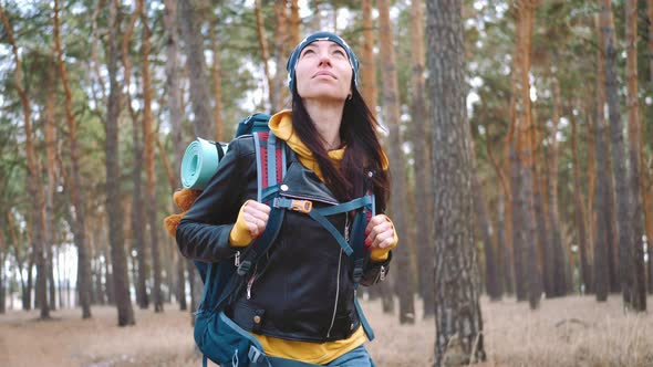 Happy Tourist with Backpack on Forest Pine Trees