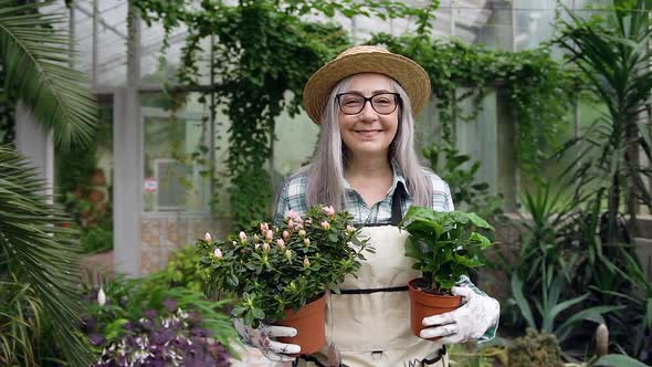 Mature Woman in Hat which Passing Through Charming Greenhouse
