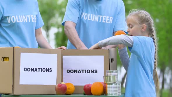 Little Volunteer Girl Putting Food Products in Donation Box Philanthropy Concept