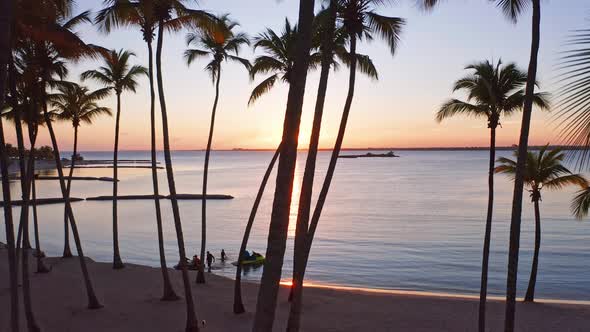 Ascending aerial shot showing silhouette of arriving jet ski driver at beach and palm trees during s