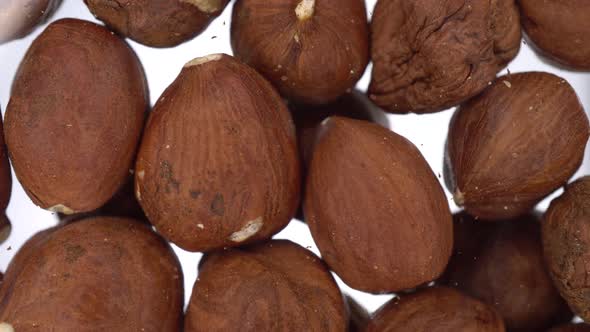 Peeled Hazelnuts Falling on Glass on a Bright White Background