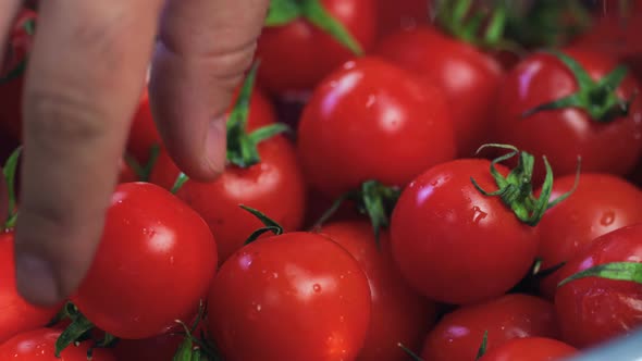 Chef Takes a Tomato From Basket