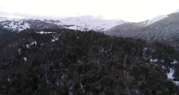 Lonquimay Chile Aerial Reveal of Snowy Forest Landscape